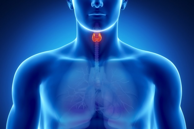 Thyroid Health