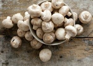 Mushroom Recipe