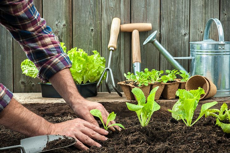 man gardening