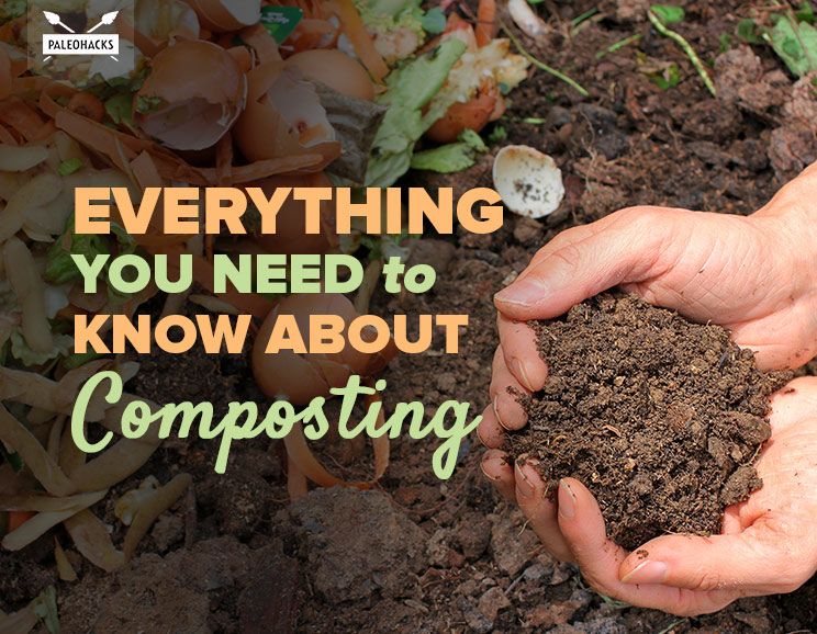 everything you need to know about composting title card