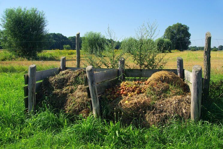 where to put the compost pile