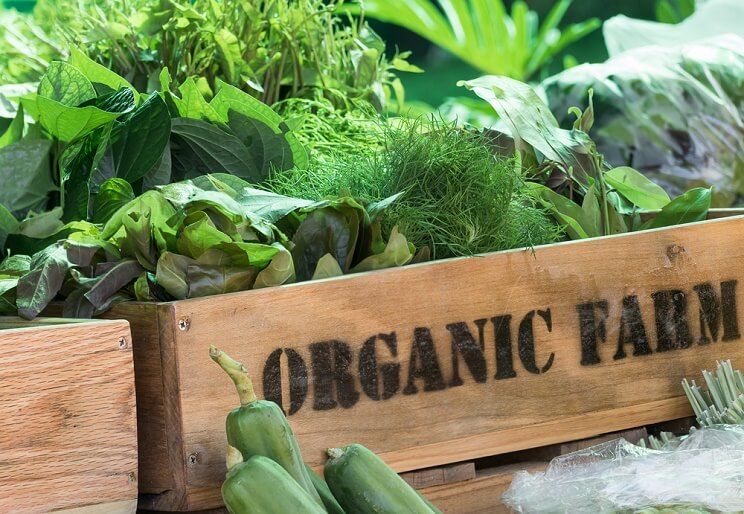 organic green vegetables