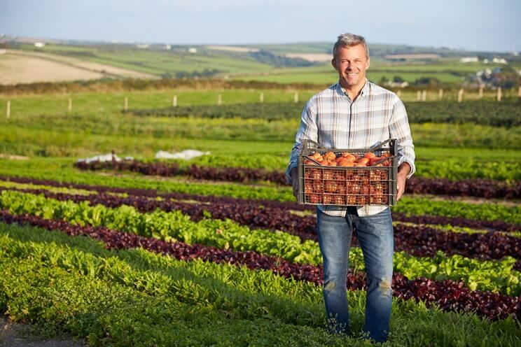 local farmer with tomatoes