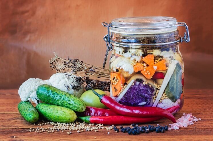 what are lacto fermented foods