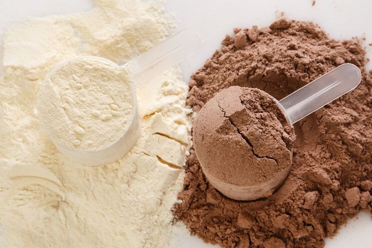 chocolate and vanilla protein powder