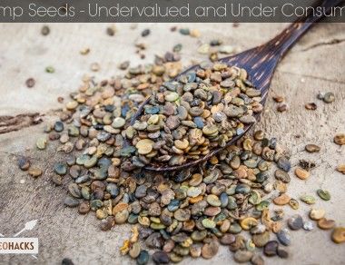 Hemp Seeds - Paleohacks