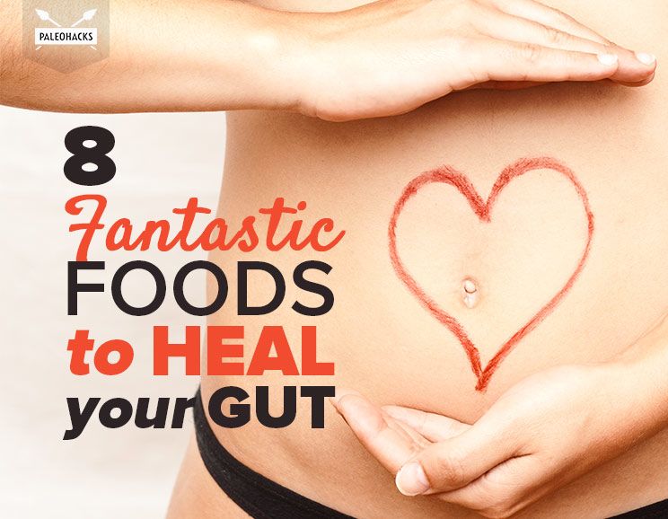 fantastic foods to heal your gut title card
