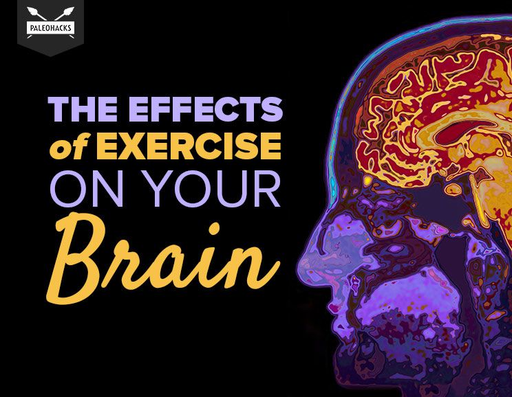the effects of exercise on your brain title card