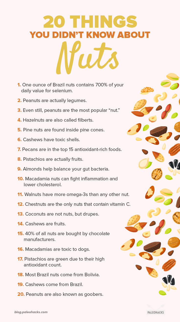 The Paleo community is really big on nuts, but how much do you know about them? Learn 20 new things about this healthy snack that you didn't know before.
