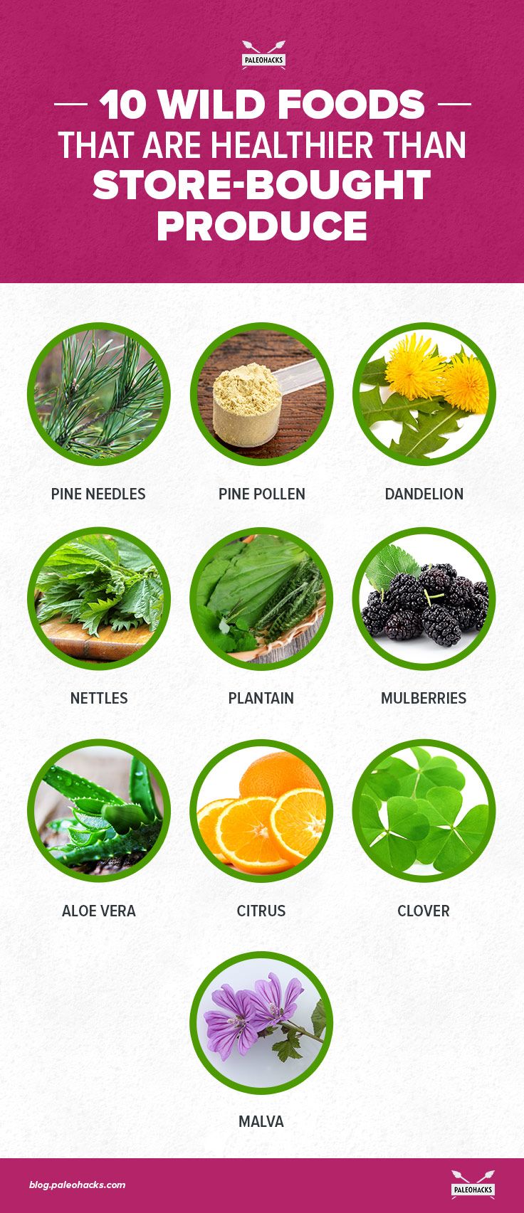 10-Wild-Foods-That-Are-Healthier-Than-Store-Bought-Produce-infog