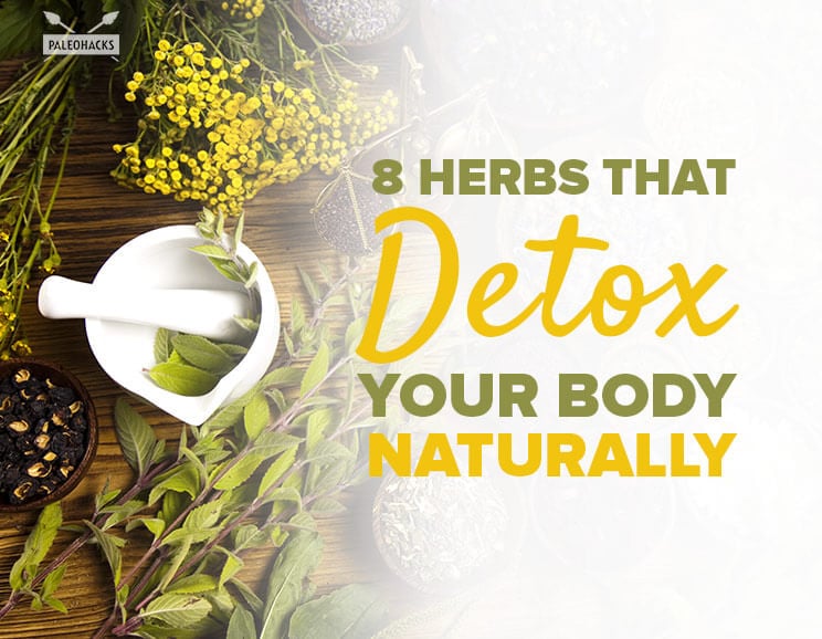 detox your body