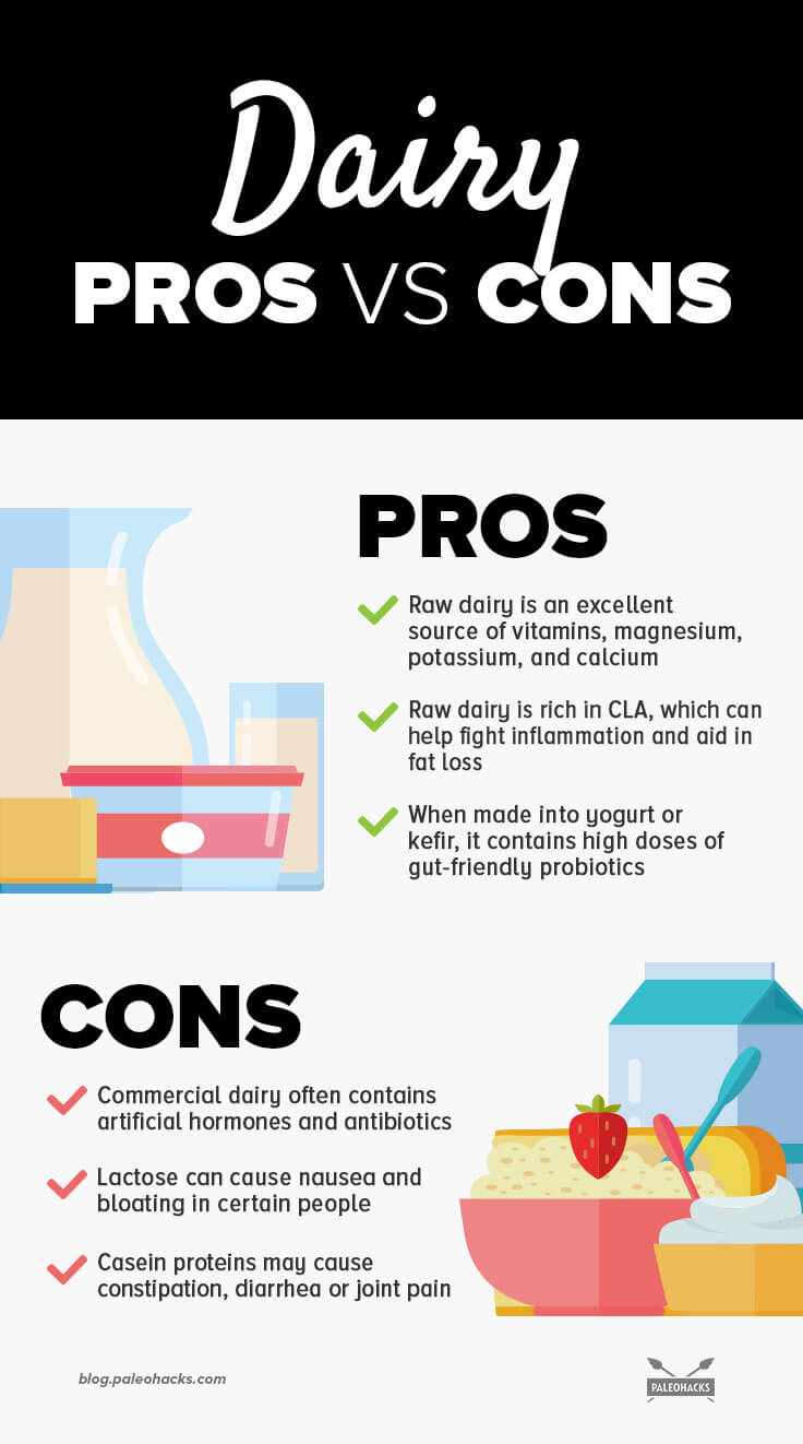 dairy infographic