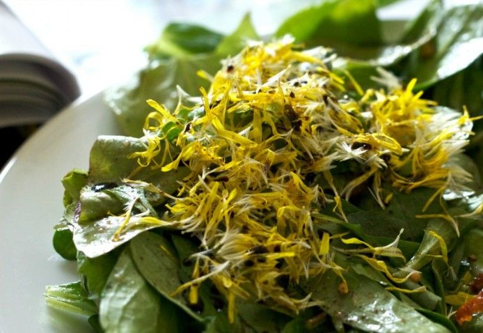 Dandelion Salad