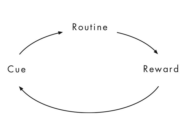 habit cycle