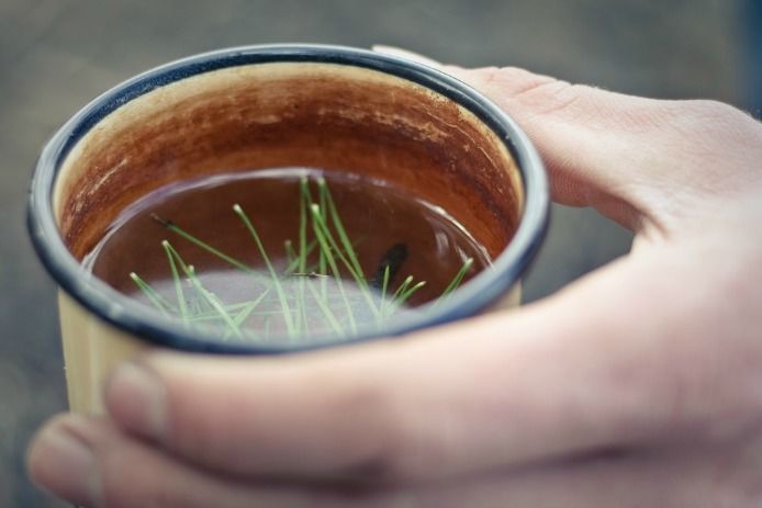 Pine Needles Tea