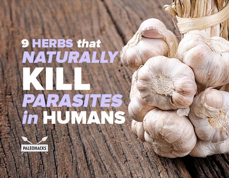 9-herbs-that-naturally-kill-parasites