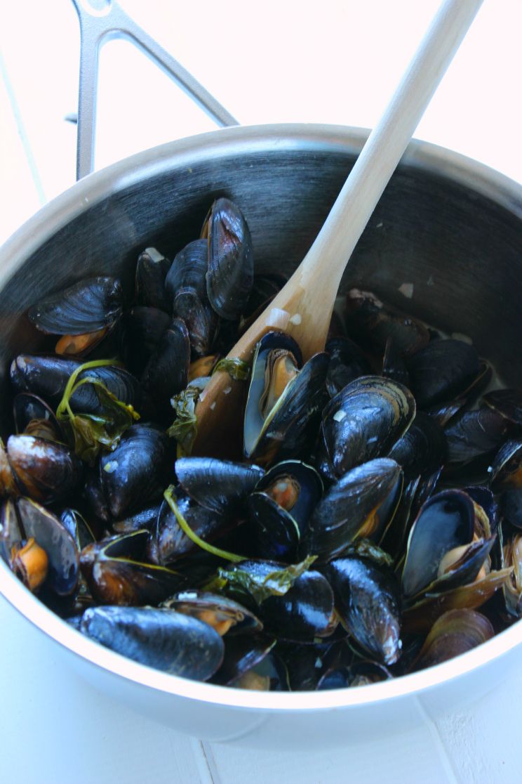 Mussels_6