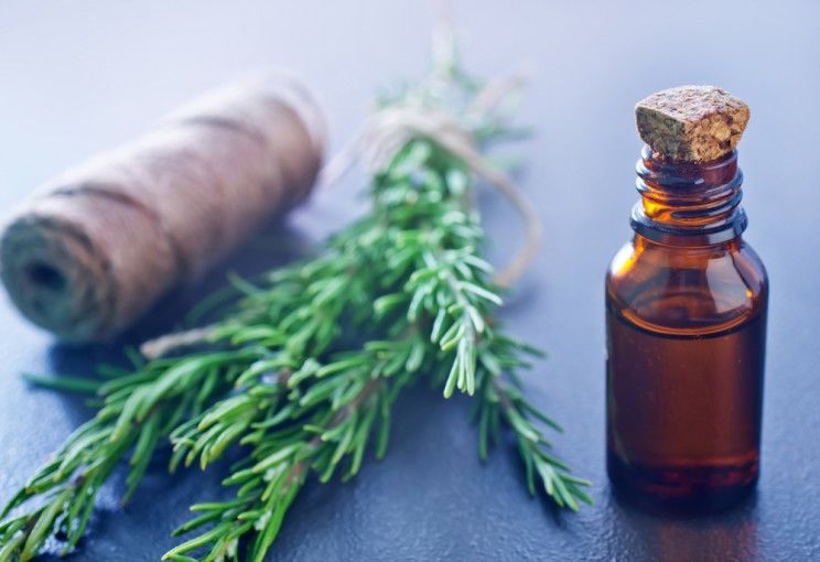 Rosemary Essential Oil