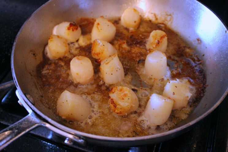 Scallops_4