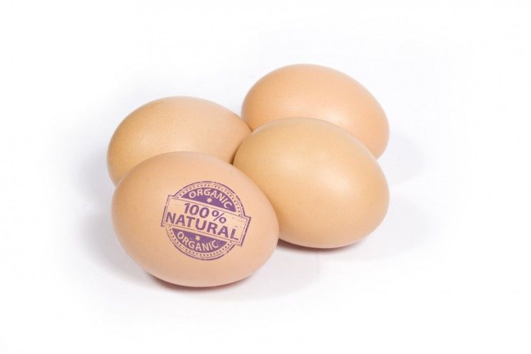 egg_labels