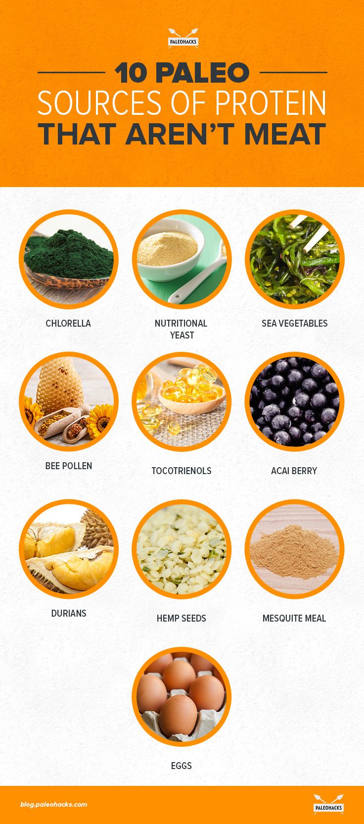 The Top 10 Best Non Meat Protein Sources Paleohacks Blog 3357