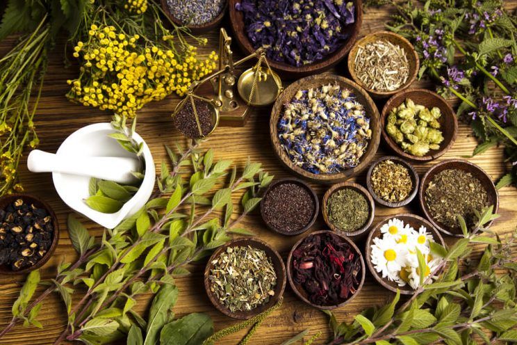 herbs in wooden cups