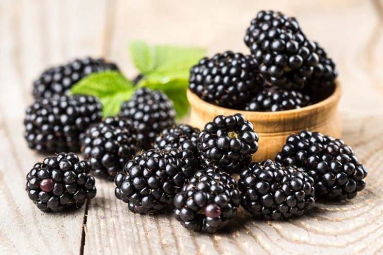 blackberries