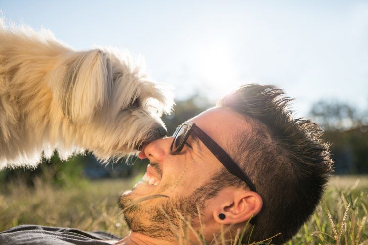 man playing with dog