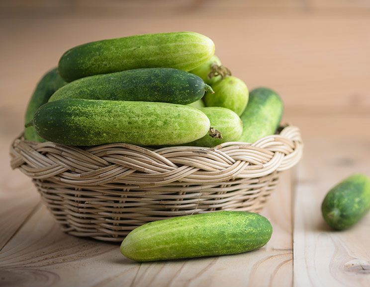 cucumber featured image