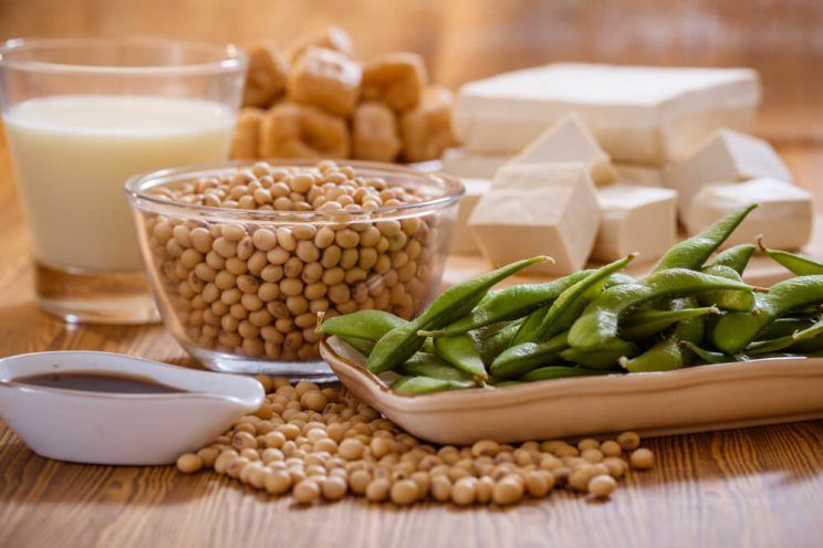 Soy bean, tofu and other soy products