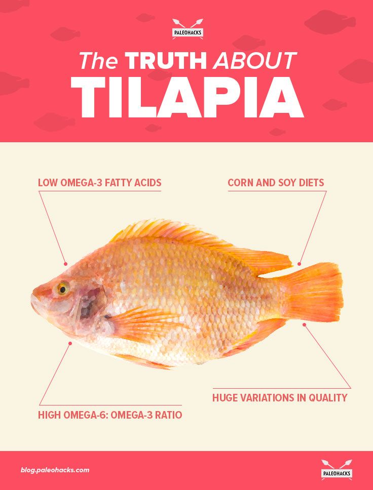 The-Truth-About-Tilapia-infographic