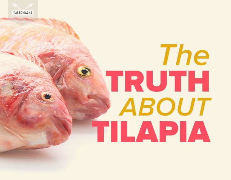 truth about tilapia