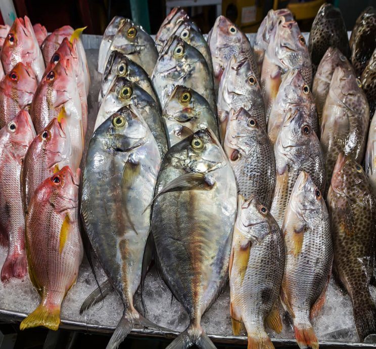 commonly consumed fish