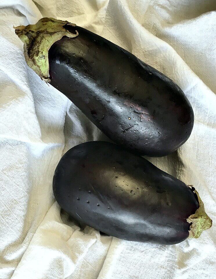 eggplant