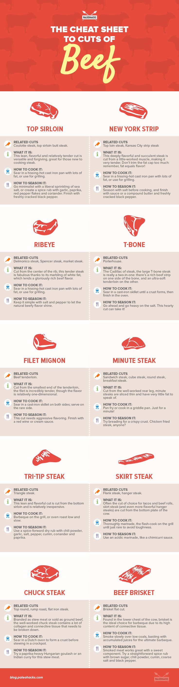 guide to beef infographic