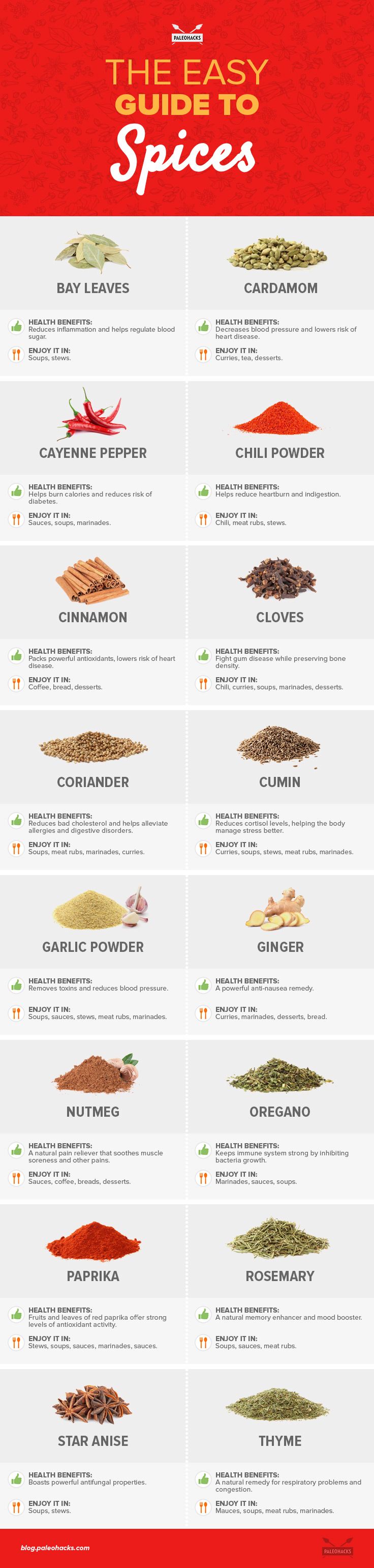 easy guide to spices infographic