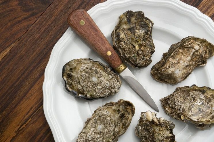 oyster knife with oysters on plate