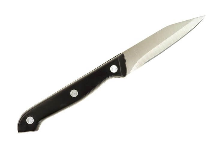 paring knife on white background