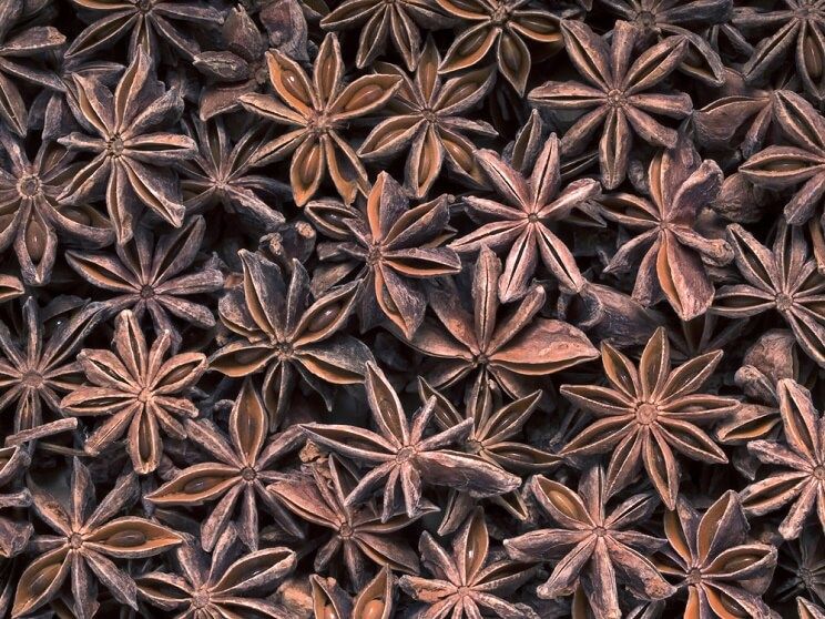 star anise pods