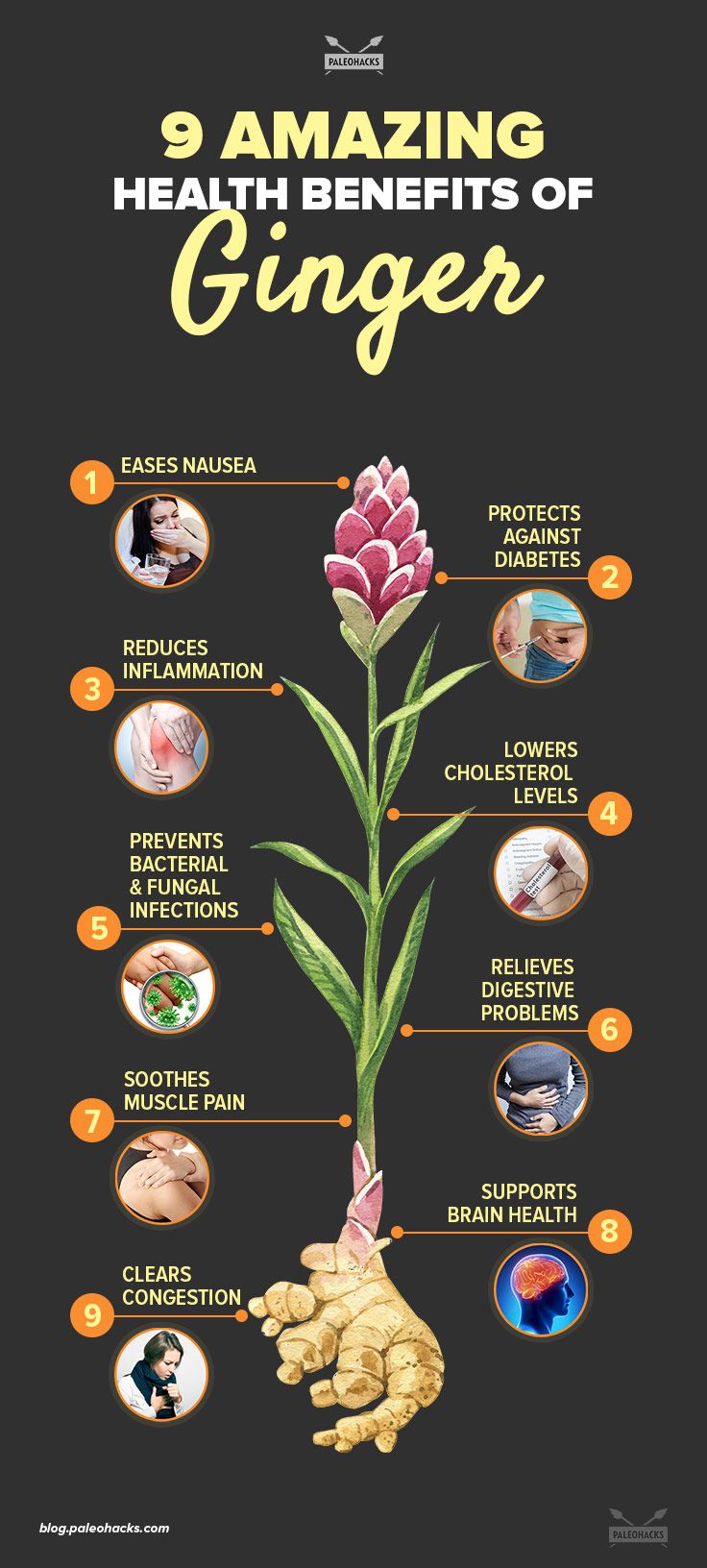 health benefits of ginger infographic