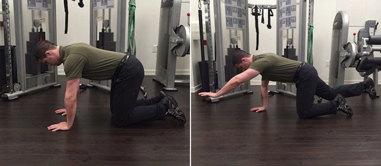 bird dog core exercises