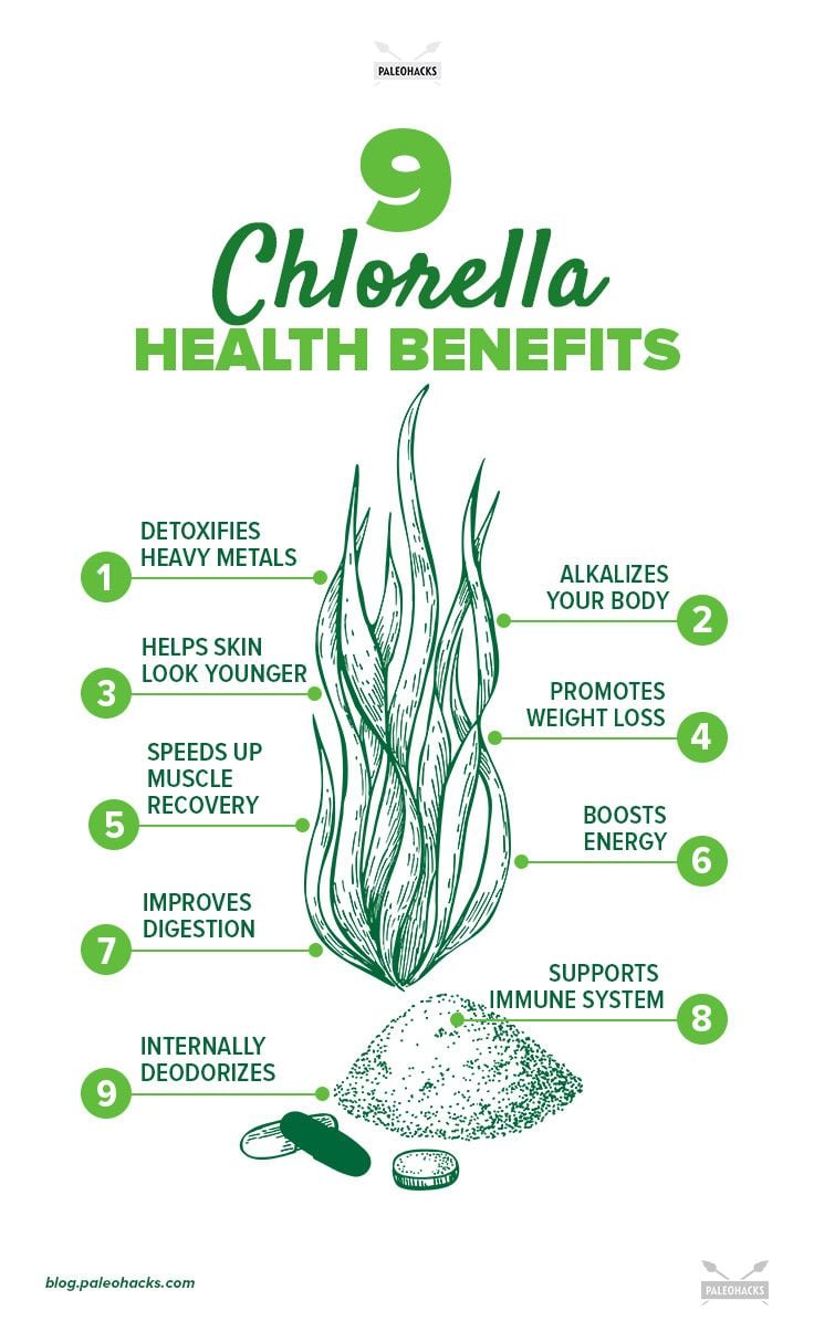 chlorella infographic