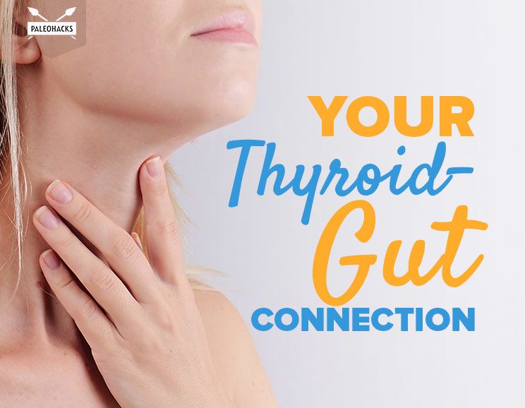 thyroid gut connection title card
