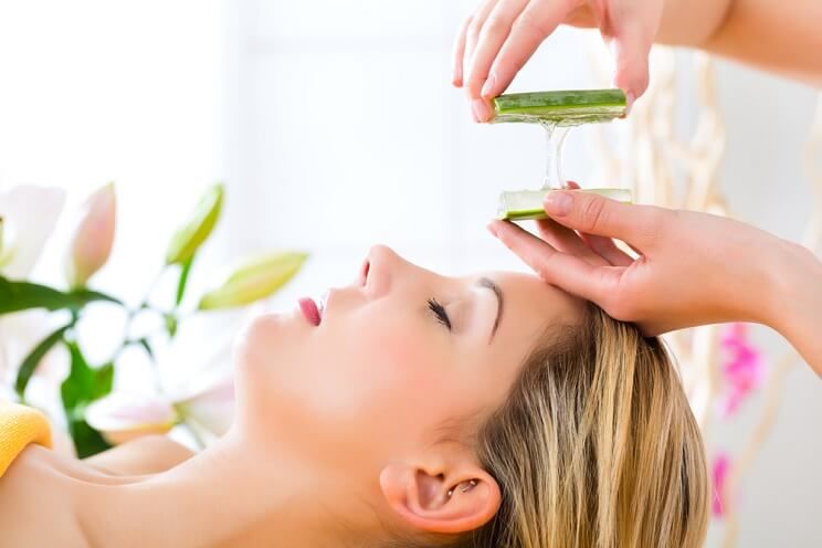 aloe treats skin conditions