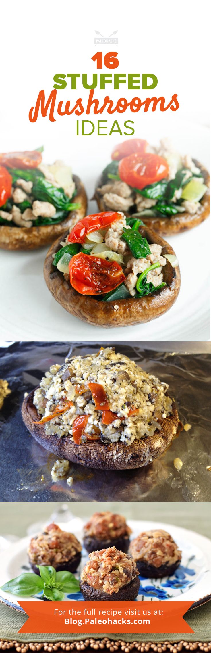 stuffed mushrooms ideas pin