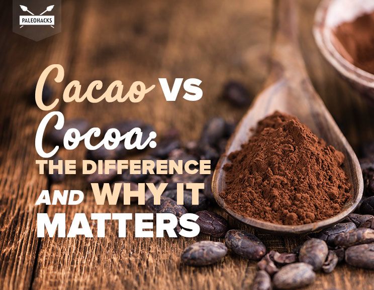 Cacao vs Cocoa: The Difference and Why It Matters 16
