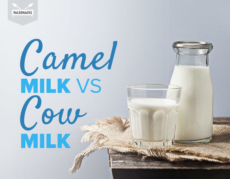 camel milk title card