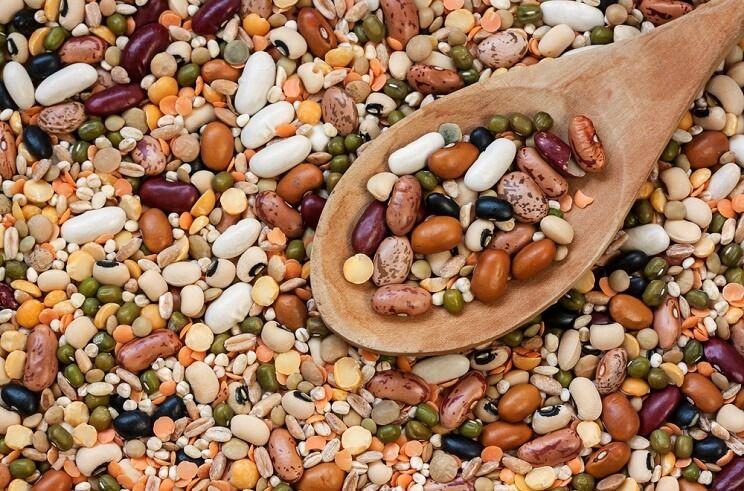 beans and legumes on a wooden spoon