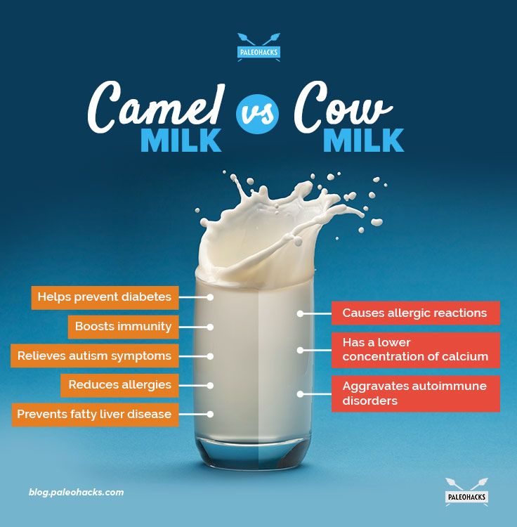 camel milk benefits