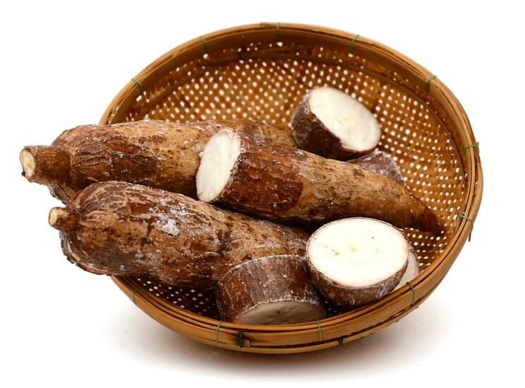 cassava